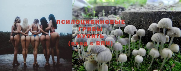 ПСИЛОЦИБИНОВЫЕ ГРИБЫ Вяземский